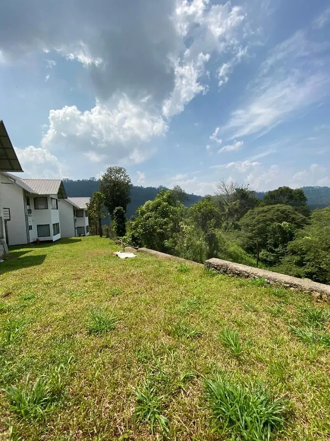 Apartment Mannoor Farms Mountain View Stays, Munnar India